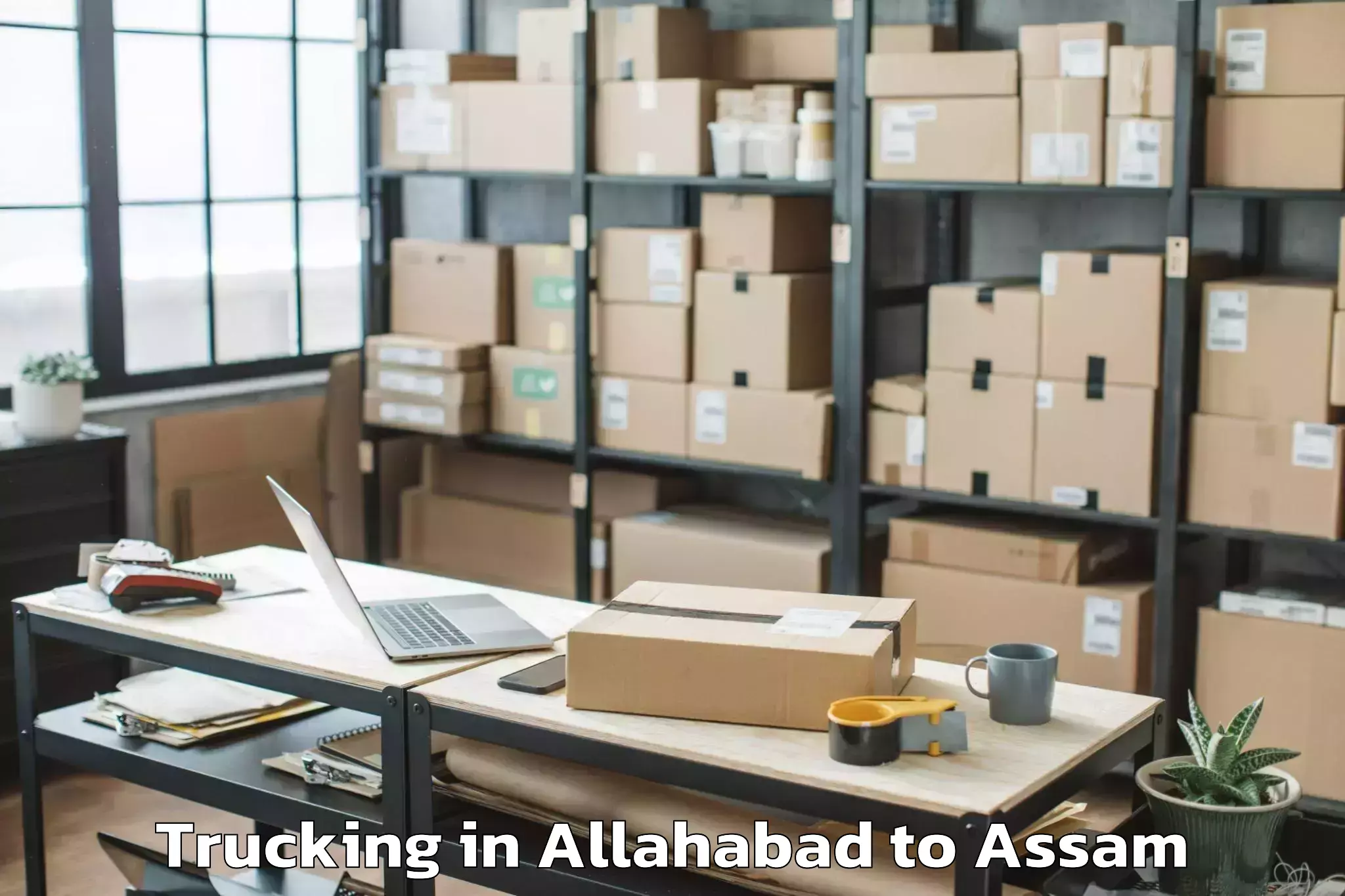 Book Allahabad to Bogribari Trucking Online